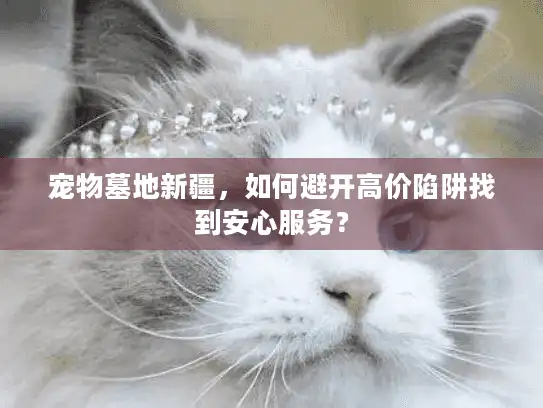 宠物墓地新疆，如何避开高价陷阱找到安心服务？
