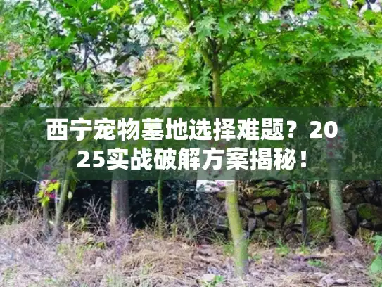 西宁宠物墓地选择难题？2025实战破解方案揭秘！