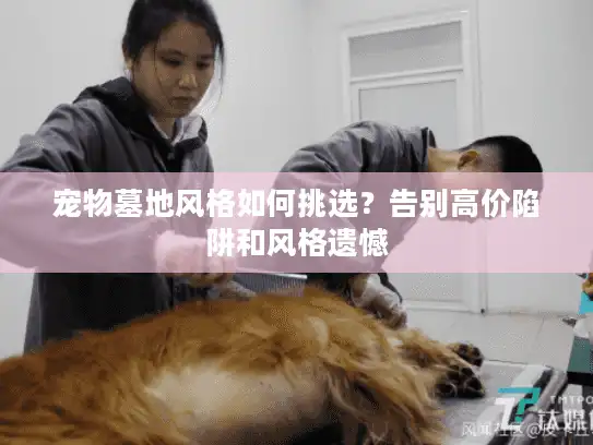 宠物墓地风格如何挑选？告别高价陷阱和风格遗憾