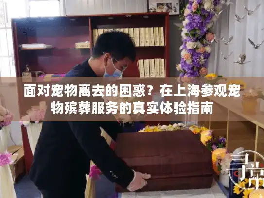 面对宠物离去的困惑？在上海参观宠物殡葬服务的真实体验指南