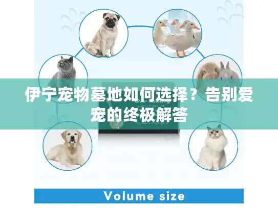 伊宁宠物墓地如何选择？告别爱宠的终极解答