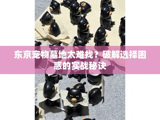 东京宠物墓地太难找？破解选择困惑的实战秘诀