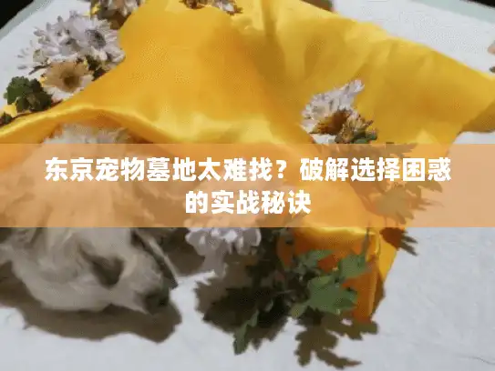东京宠物墓地太难找？破解选择困惑的实战秘诀