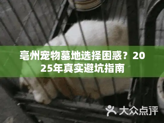 亳州宠物墓地选择困惑？2025年真实避坑指南