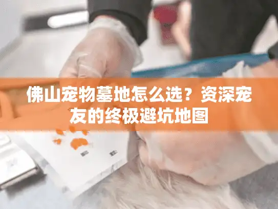 佛山宠物墓地怎么选？资深宠友的终极避坑地图