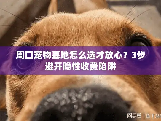 周口宠物墓地怎么选才放心？3步避开隐性收费陷阱
