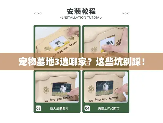 宠物墓地3选哪家？这些坑别踩！