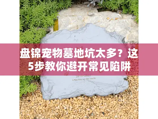 盘锦宠物墓地坑太多？这5步教你避开常见陷阱