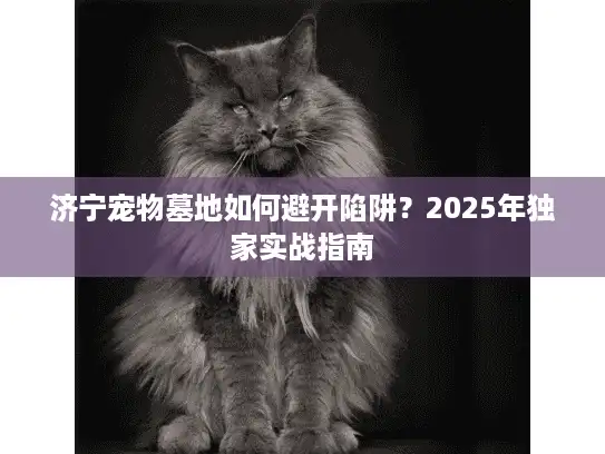 济宁宠物墓地如何避开陷阱？2025年独家实战指南