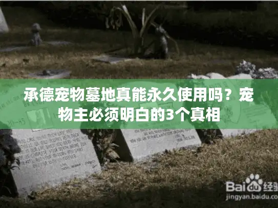 承德宠物墓地真能永久使用吗？宠物主必须明白的3个真相