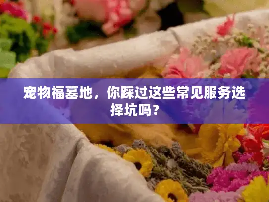 宠物福墓地，你踩过这些常见服务选择坑吗？