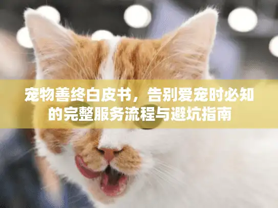 宠物善终白皮书，告别爱宠时必知的完整服务流程与避坑指南