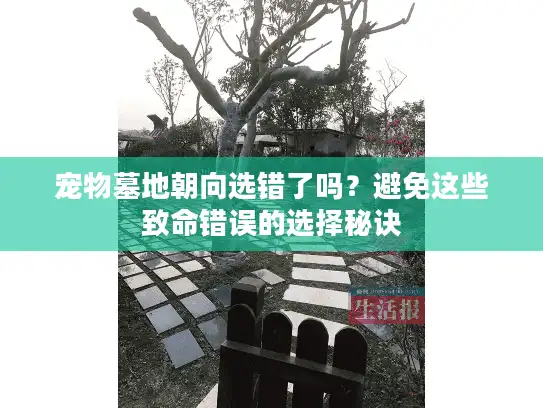 宠物墓地朝向选错了吗？避免这些致命错误的选择秘诀
