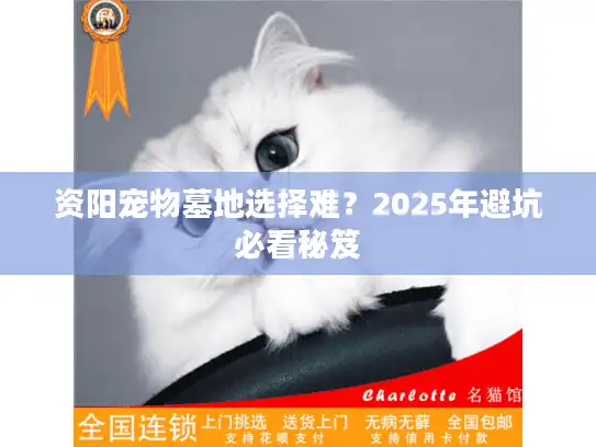 资阳宠物墓地选择难？2025年避坑必看秘笈