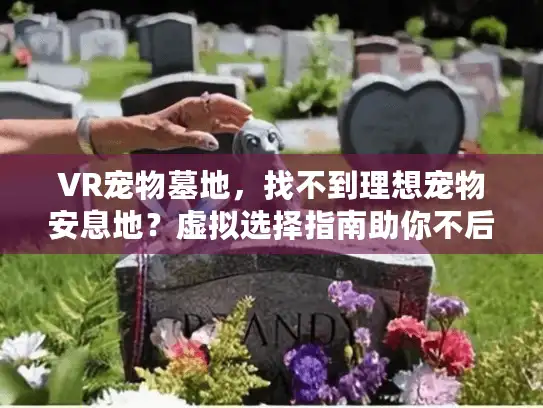 VR宠物墓地，找不到理想宠物安息地？虚拟选择指南助你不后悔！