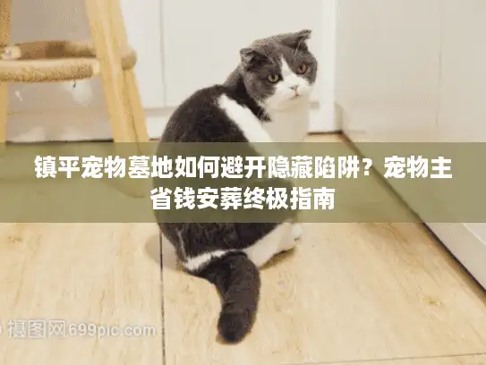镇平宠物墓地如何避开隐藏陷阱？宠物主省钱安葬终极指南