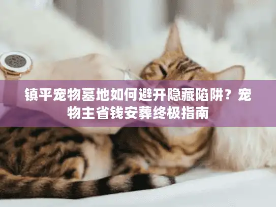 镇平宠物墓地如何避开隐藏陷阱？宠物主省钱安葬终极指南