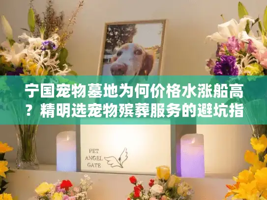 宁国宠物墓地为何价格水涨船高？精明选宠物殡葬服务的避坑指南