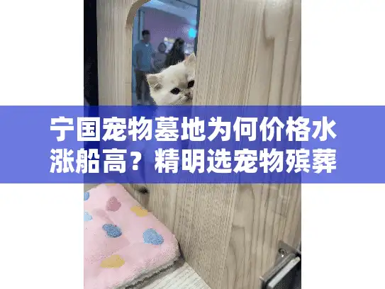宁国宠物墓地为何价格水涨船高？精明选宠物殡葬服务的避坑指南