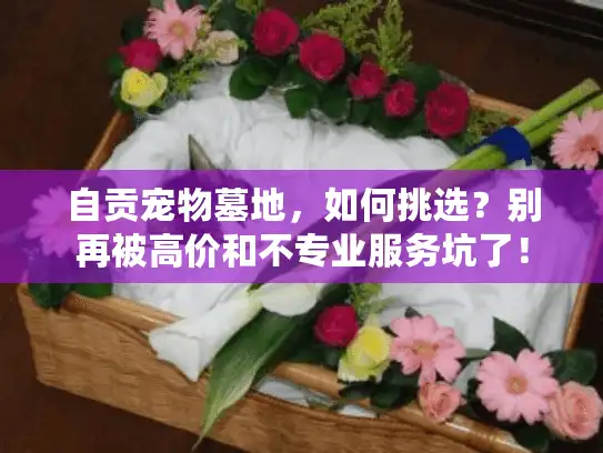 自贡宠物墓地，如何挑选？别再被高价和不专业服务坑了！