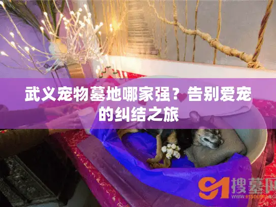 武义宠物墓地哪家强？告别爱宠的纠结之旅