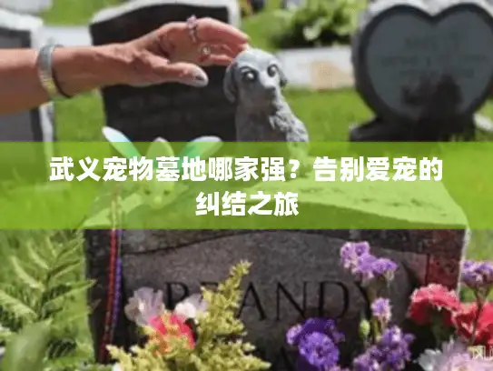 武义宠物墓地哪家强？告别爱宠的纠结之旅