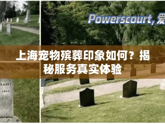 上海宠物殡葬印象如何？揭秘服务真实体验