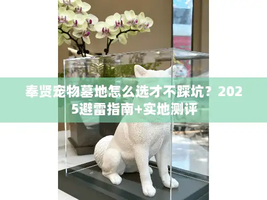 奉贤宠物墓地怎么选才不踩坑？2025避雷指南+实地测评