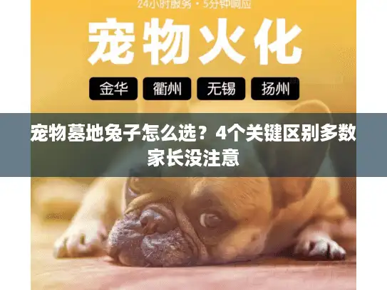 宠物墓地兔子怎么选？4个关键区别多数家长没注意