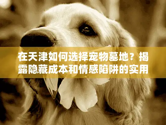 在天津如何选择宠物墓地？揭露隐藏成本和情感陷阱的实用路径