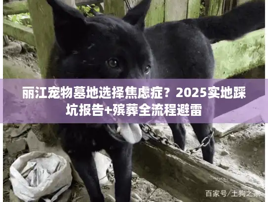 丽江宠物墓地选择焦虑症？2025实地踩坑报告+殡葬全流程避雷