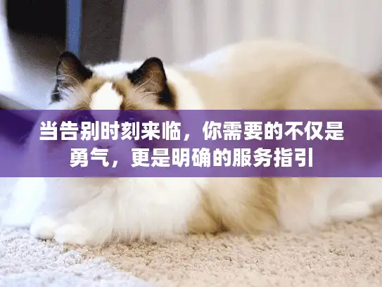 当告别时刻来临，你需要的不仅是勇气，更是明确的服务指引