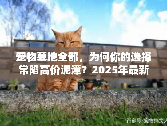 宠物墓地全部，为何你的选择常陷高价泥潭？2025年最新避坑策略揭秘！