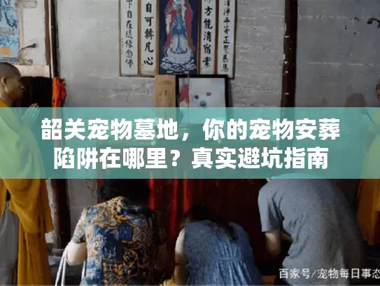 韶关宠物墓地，你的宠物安葬陷阱在哪里？真实避坑指南