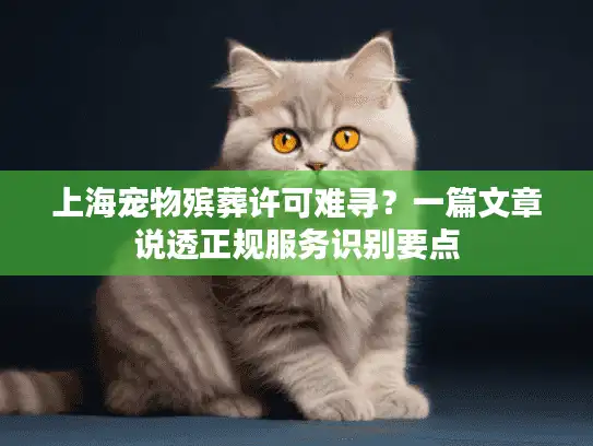 上海宠物殡葬许可难寻？一篇文章说透正规服务识别要点