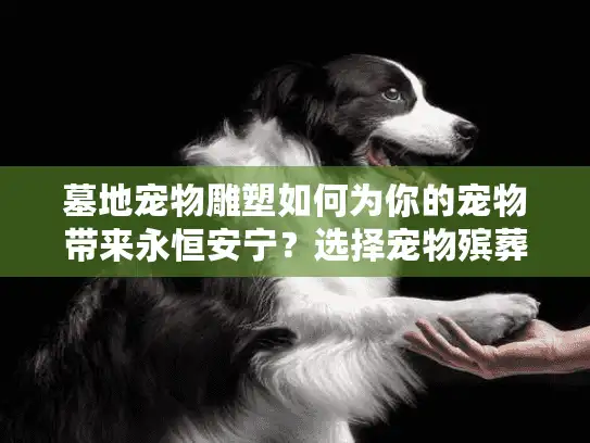墓地宠物雕塑如何为你的宠物带来永恒安宁？选择宠物殡葬服务的终极指南