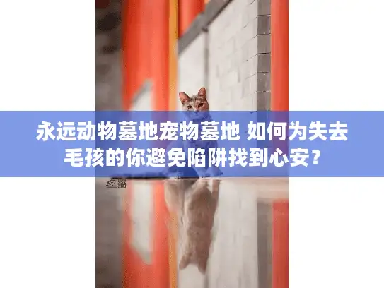永远动物墓地宠物墓地 如何为失去毛孩的你避免陷阱找到心安？