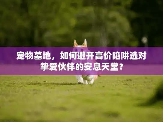 宠物墓地，如何避开高价陷阱选对挚爱伙伴的安息天堂？