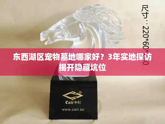 东西湖区宠物墓地哪家好？3年实地探访揭开隐藏坑位