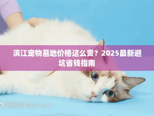 滨江宠物墓地价格这么贵？2025最新避坑省钱指南