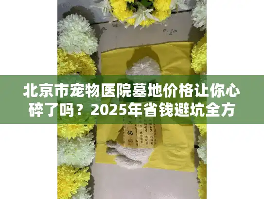 北京市宠物医院墓地价格让你心碎了吗？2025年省钱避坑全方案实战