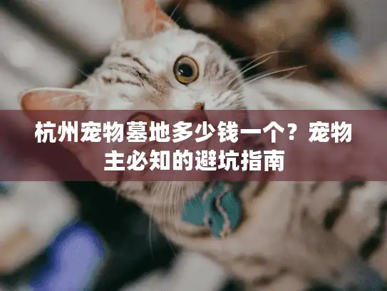 杭州宠物墓地多少钱一个？宠物主必知的避坑指南