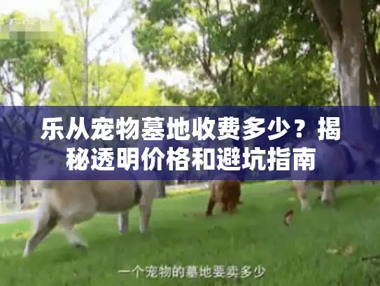 乐从宠物墓地收费多少？揭秘透明价格和避坑指南