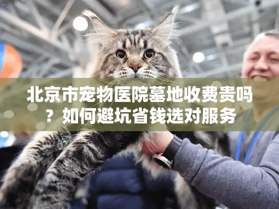 北京市宠物医院墓地收费贵吗？如何避坑省钱选对服务
