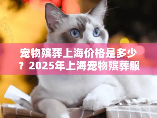 宠物殡葬上海价格是多少？2025年上海宠物殡葬服务费用全解析