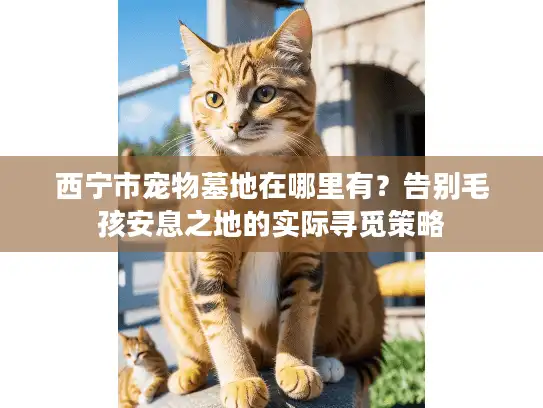 西宁市宠物墓地在哪里有？告别毛孩安息之地的实际寻觅策略