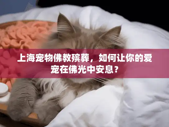 上海宠物佛教殡葬，如何让你的爱宠在佛光中安息？