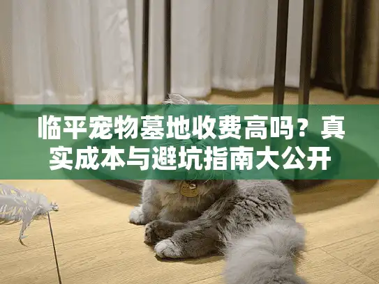 临平宠物墓地收费高吗？真实成本与避坑指南大公开