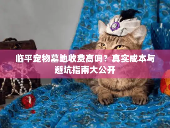 临平宠物墓地收费高吗？真实成本与避坑指南大公开