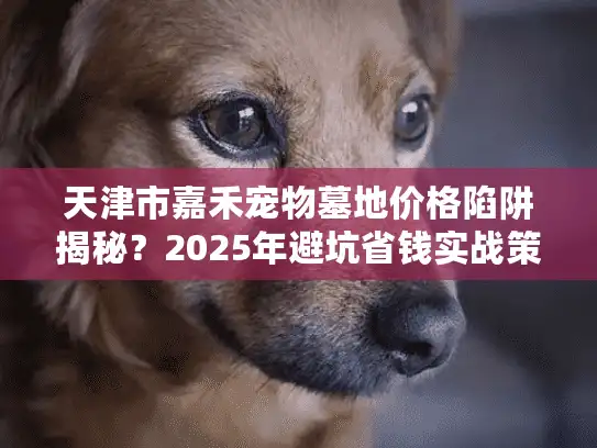 天津市嘉禾宠物墓地价格陷阱揭秘？2025年避坑省钱实战策略全曝光